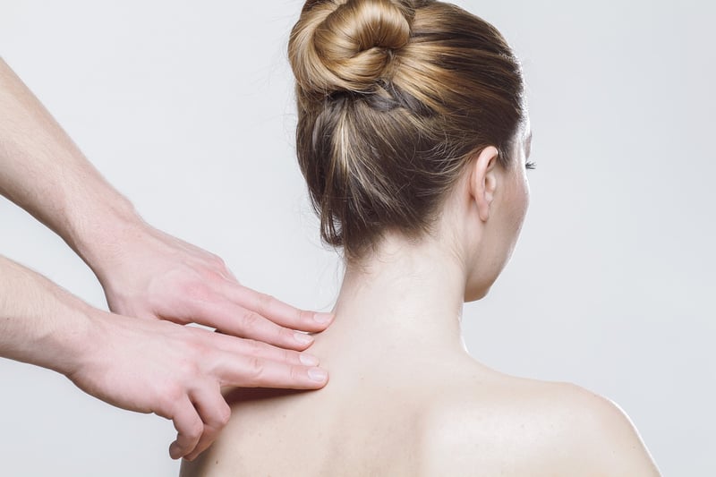 Physical Therapist